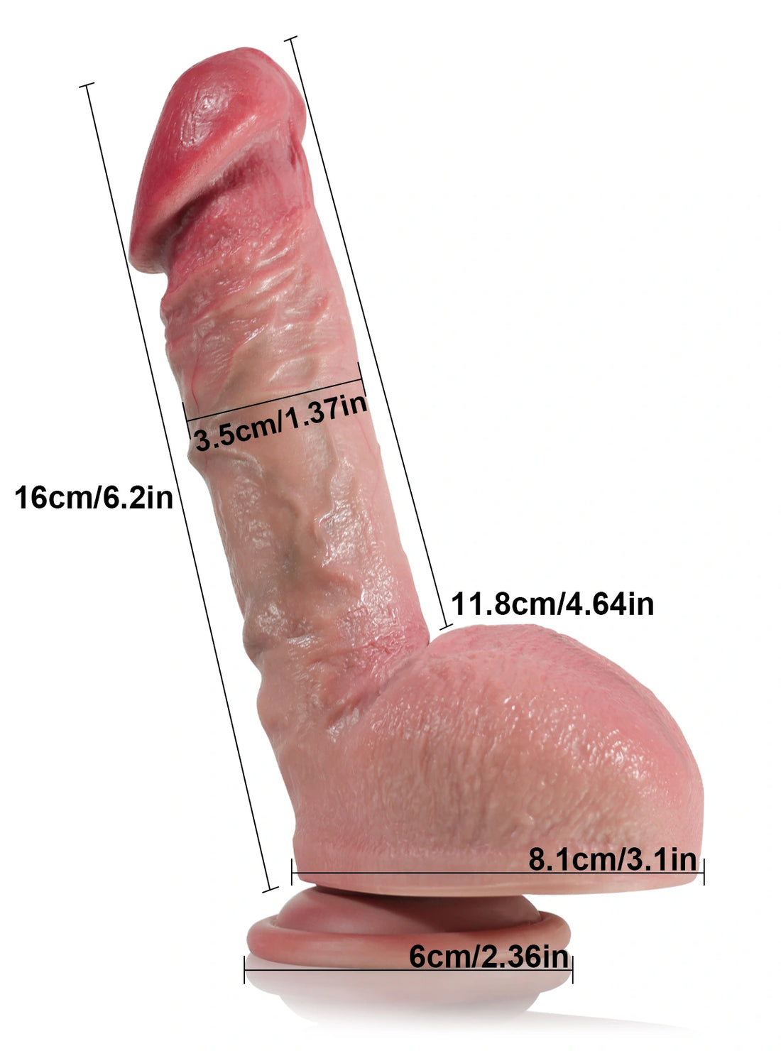 Paul - Realistische Beginnersdildo Met Balzak - 16cm