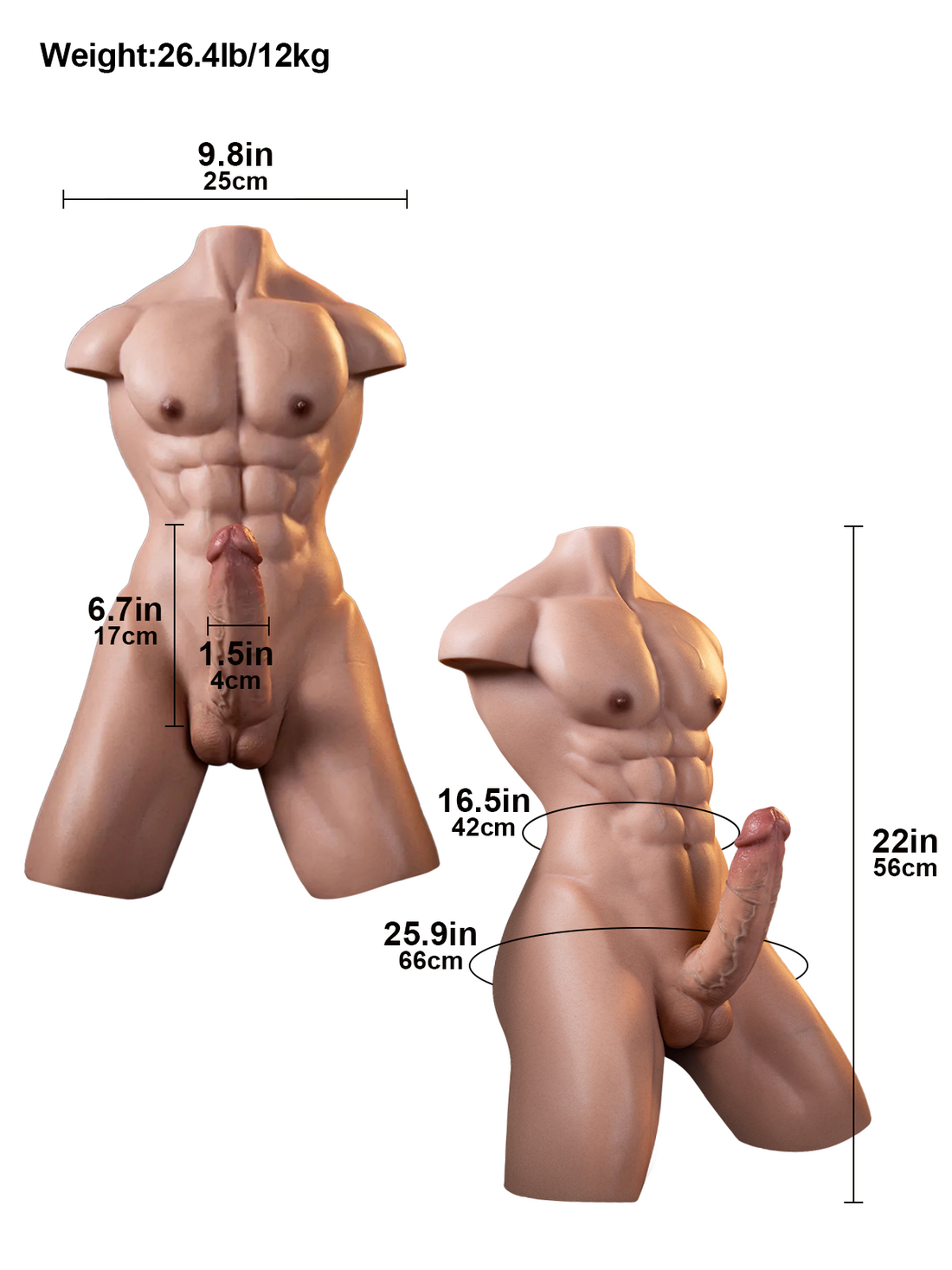 Serge - 12 kg Realistische Dildotorso met 17 cm Dildo en Anaalkanaal